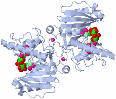 Image Biological Unit 2