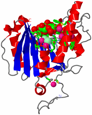 Image Asym. Unit - sites