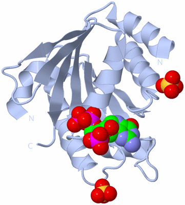 Image Biological Unit 1
