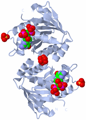 Image Biological Unit 2