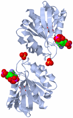 Image Biological Unit 3