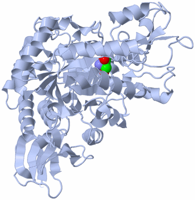 Image Biological Unit 1