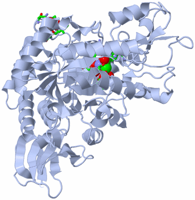 Image Biol. Unit 1 - sites