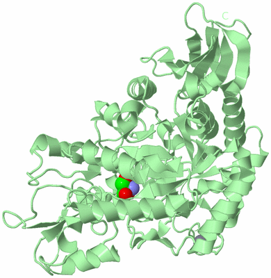 Image Biological Unit 2