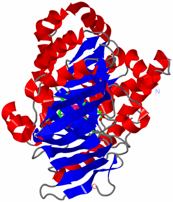 Image Asym. Unit - sites