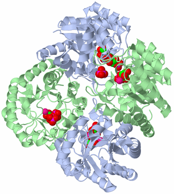 Image Biological Unit 1