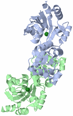 Image Asym./Biol. Unit