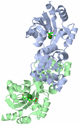 Image Asym./Biol. Unit - sites