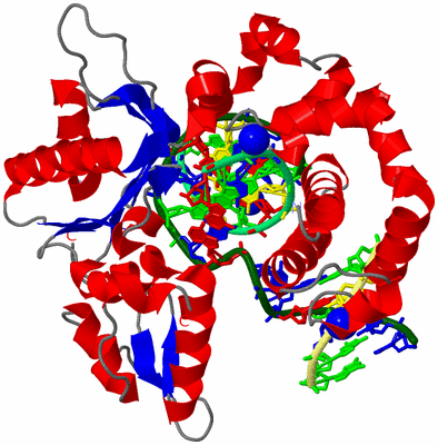 Image Asym./Biol. Unit