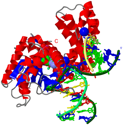 Image Asym./Biol. Unit