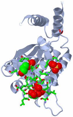 Image Biol. Unit 1 - sites