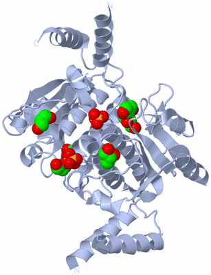 Image Biological Unit 2