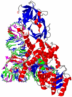 Image Asym./Biol. Unit