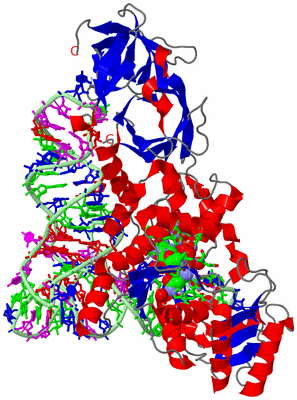 Image Asym./Biol. Unit - sites