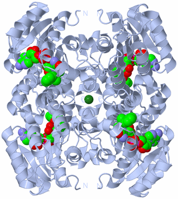 Image Biological Unit 1