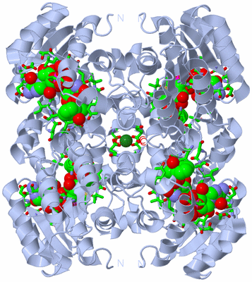 Image Biol. Unit 1 - sites