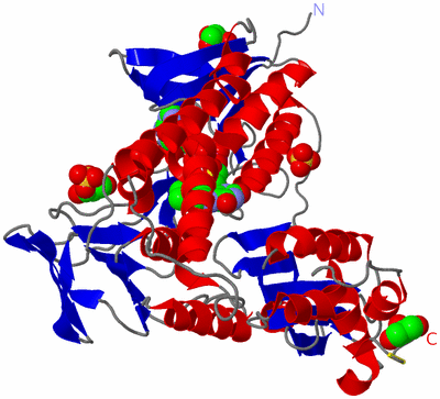 Image Asymmetric Unit