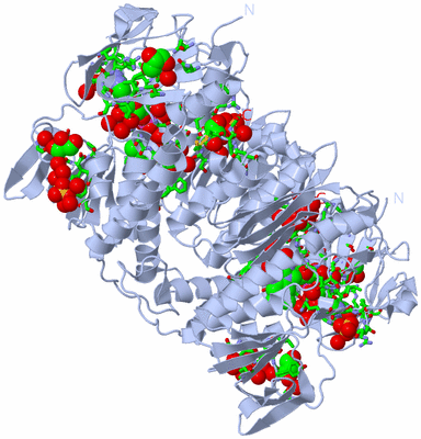 Image Biol. Unit 1 - sites