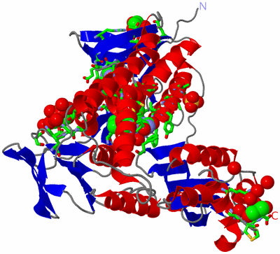 Image Asym. Unit - sites