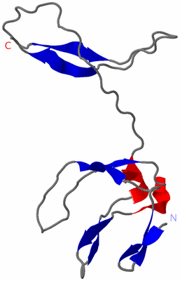 Image Asymmetric Unit