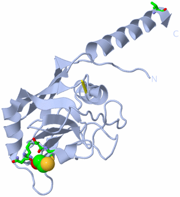 Image Biol. Unit 1 - sites