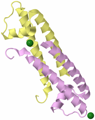 Image Biological Unit 3