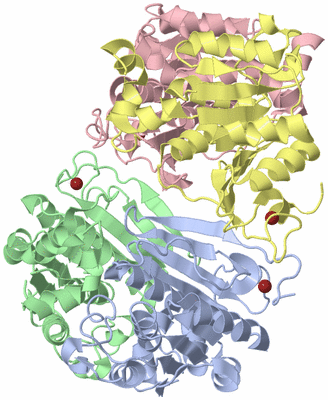 Image Asymmetric Unit