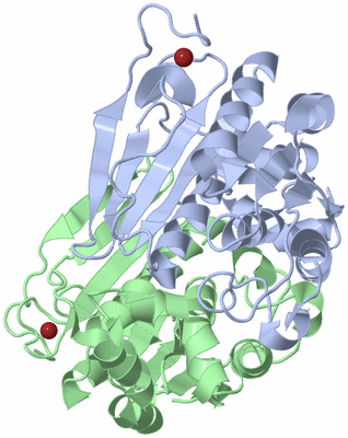 Image Biological Unit 1