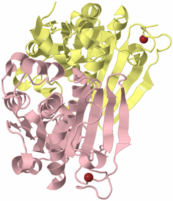 Image Biological Unit 2