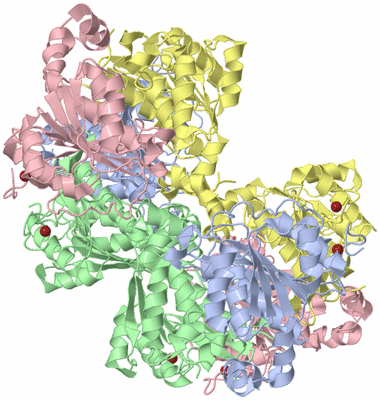 Image Biological Unit 3