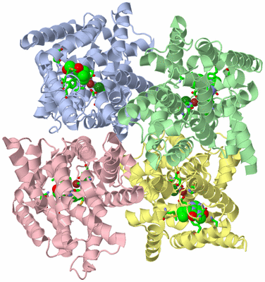 Image Asym./Biol. Unit - sites