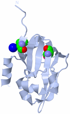 Image Biological Unit 1