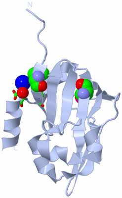 Image Biol. Unit 1 - sites