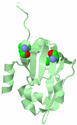 Image Biological Unit 2