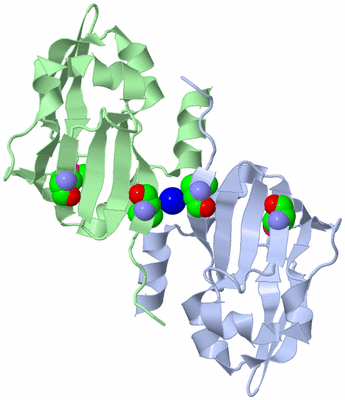 Image Biological Unit 3