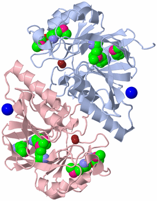 Image Biological Unit 1