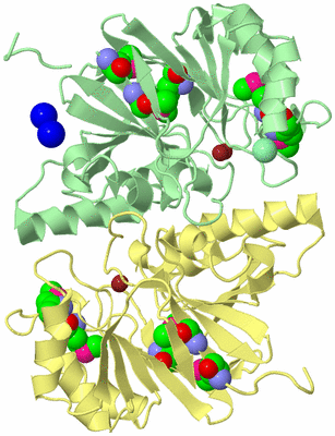 Image Biological Unit 2