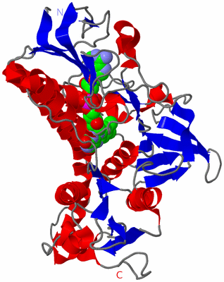 Image Asymmetric Unit