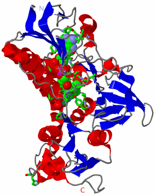 Image Asym. Unit - sites