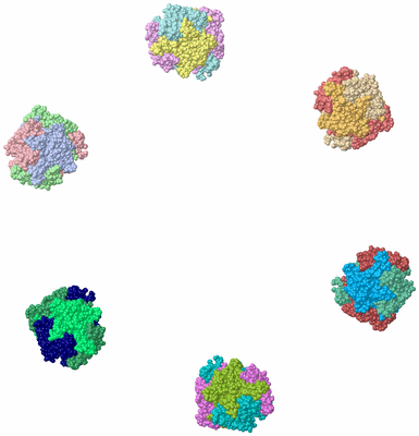 Image Asym./Biol. Unit