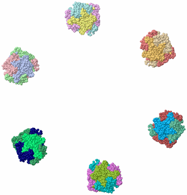 Image Asym./Biol. Unit - sites