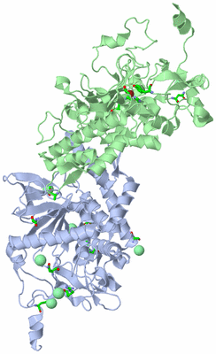 Image Asym./Biol. Unit - sites