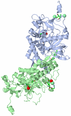 Image Biol. Unit 1 - sites