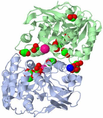 Image Asymmetric Unit