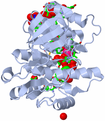 Image Biol. Unit 1 - sites