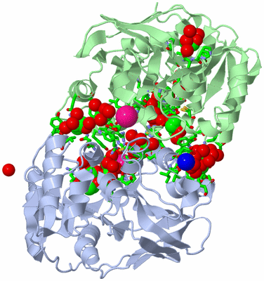 Image Asym. Unit - sites
