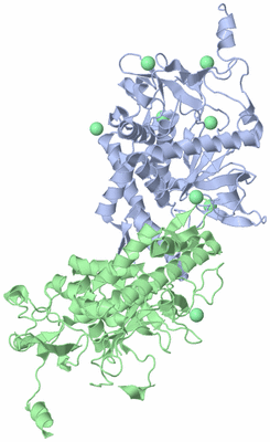 Image Biological Unit 1