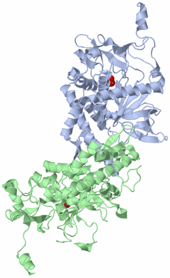 Image Asym./Biol. Unit