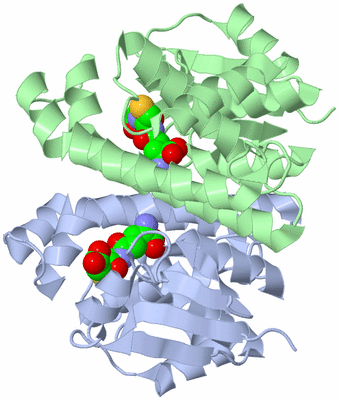 Image Asym./Biol. Unit