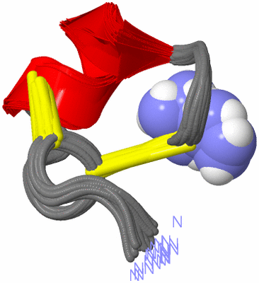 Image NMR Structure - all models